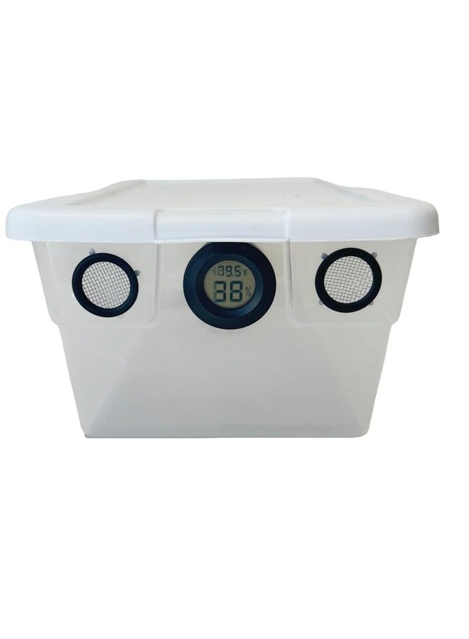 Bugzy Bugs Vented Vivarium Enclosure 6 Quart Terrarium with Black Vents, Temperature & Humidity Sensor for Reptiles, Isopods, Small Bugs - Image 2